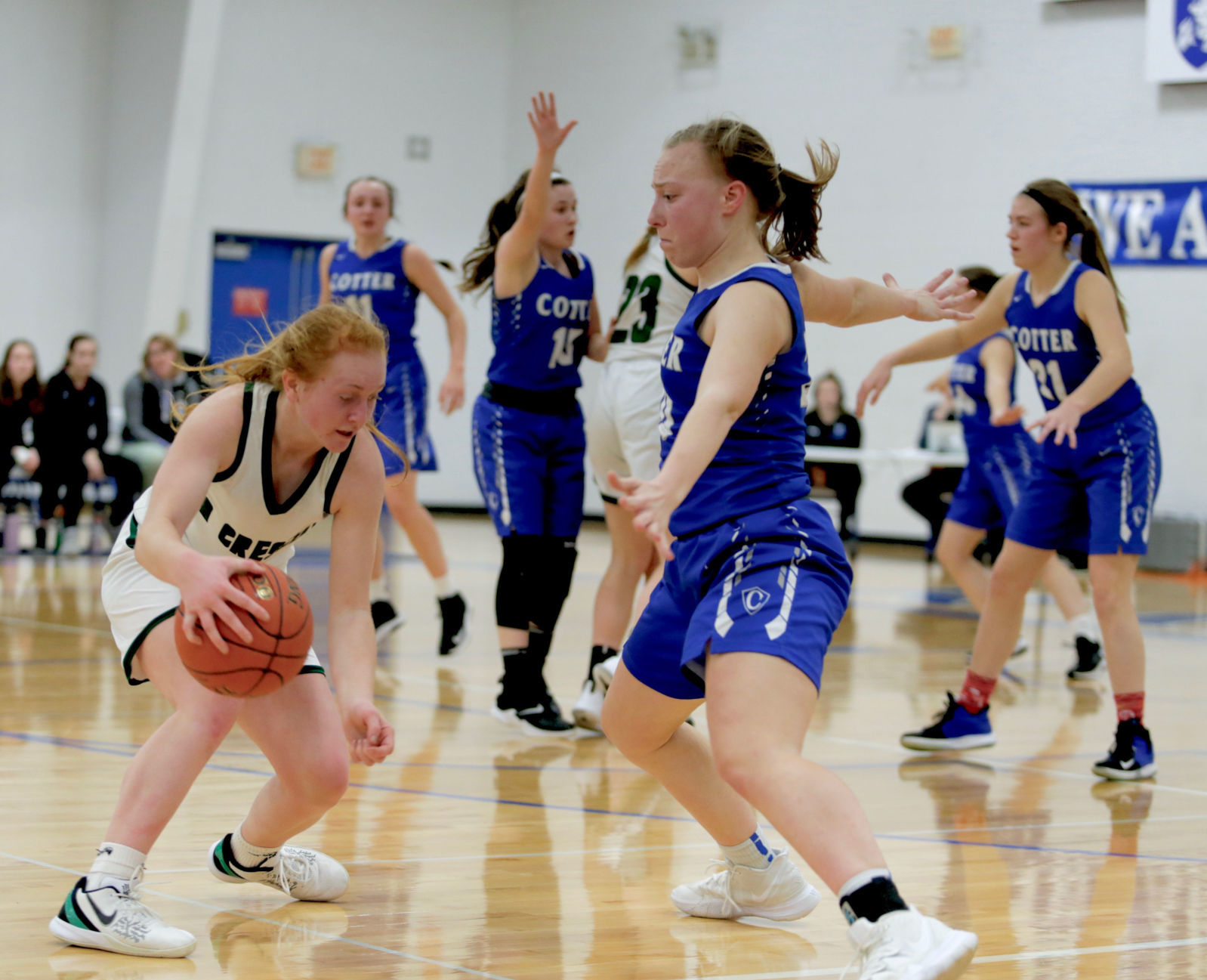 Cotter girls playoff basketball vs La Crescent-Hokah